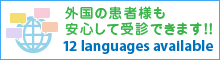 12 languages available